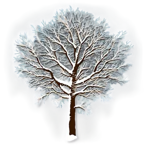 Snowy Tree Top PNG 06272024