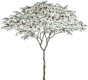 Snowy Treewith Red Berries