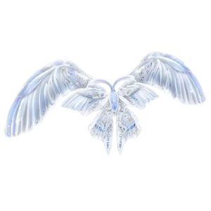 Snowy White Wings PNG Krl48 PNG