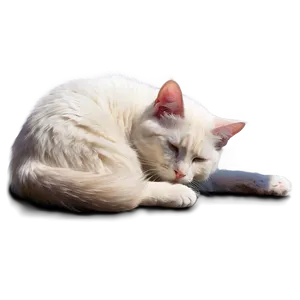 Snuggly Cat PNG Ruv97