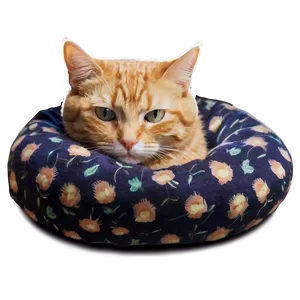 Snuggly Cat PNG Wcr6