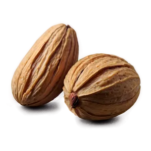 Soaked Almond PNG 05242024