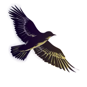 Soaring Bird Silhouette Png 05212024 PNG image
