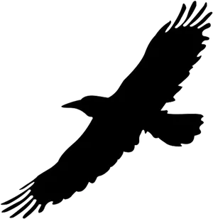 Soaring Bird Silhouette.png PNG image
