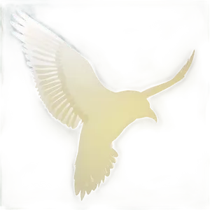 Soaring Bird Silhouette PNG Sqi