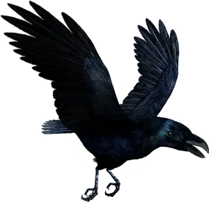 Soaring Black Raven