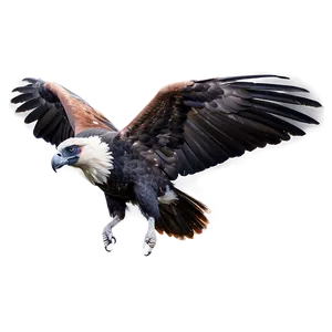 Soaring Condor PNG 41 PNG