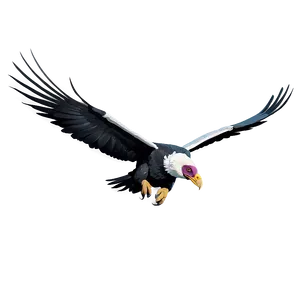 Soaring Condor PNG 49 PNG