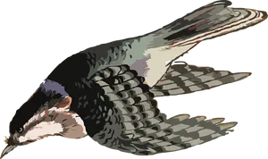 Soaring Dove Illustration