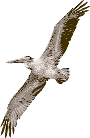 Soaring Pelican Silhouette