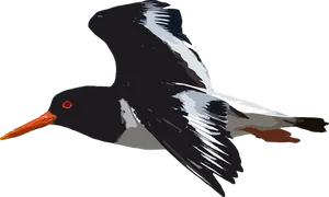 Soaring Seabird Illustration