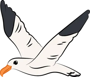 Soaring Seagull Illustration PNG image