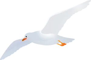 Soaring Seagull Vector PNG image