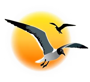 Soaring Seagulls Sunset Graphic PNG image