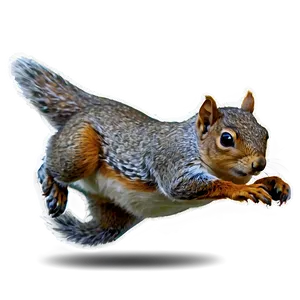 Soaring Squirrel Png 86 PNG image