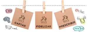 Social Media Strategy Tags PNG