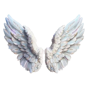 Soft Angel Wings PNG 33