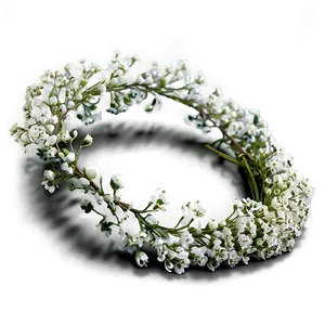 Soft Babys Breath Crown Png 63 PNG image