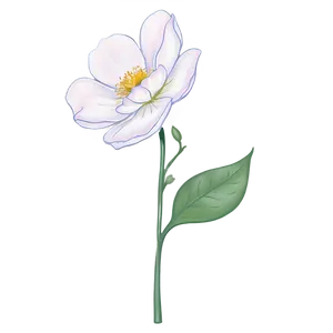 Soft Buttercup PNG Ubv90 PNG