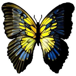 Soft Butterfly Wings PNG 06252024 PNG