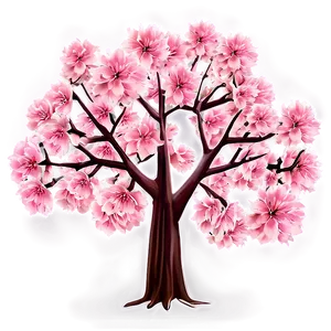 Soft Cherry Blossom Tree PNG 52 PNG