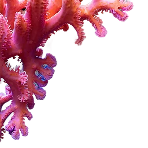 Soft Coral Texture Png 26 PNG image
