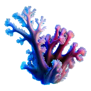 Soft Coral Texture Png Fcs54 PNG image