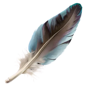 Soft Down Feather Png 24 PNG image