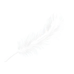 Soft Feather Clipart Png 06252024 PNG image