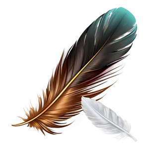 Soft Feather Clipart PNG Hto