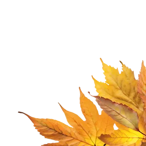Soft Focus Fallen Leaves PNG 33 PNG