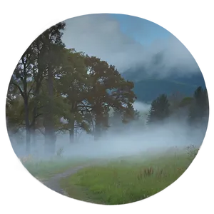 Soft Fog Transparent Png 41 PNG image