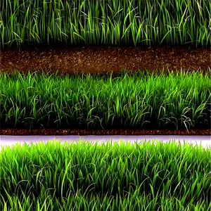 Soft Grass Carpet Png 04292024 PNG image