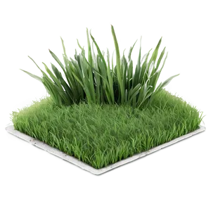 Soft Grass Carpet Png Jmj PNG image