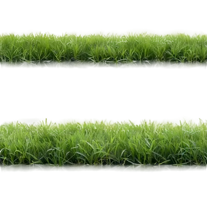 Soft Grass Carpet Png Lrx PNG image