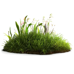 Soft Grass Patch PNG 06212024