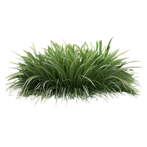 Soft Grass Patch PNG 57
