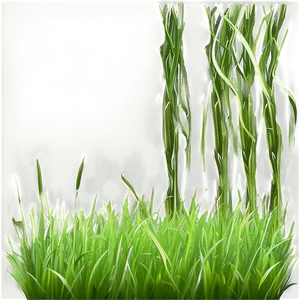 Soft Green Grass Texture Png Hku PNG image