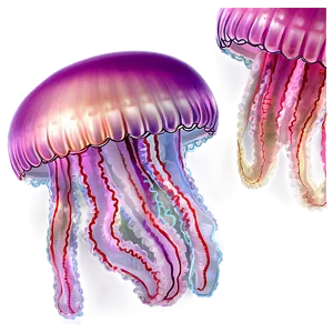 Soft Jellyfish PNG Rxh97