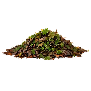 Soft Leaf Pile PNG 06202024
