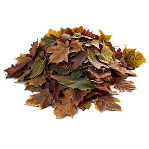 Soft Leaf Pile PNG Usf