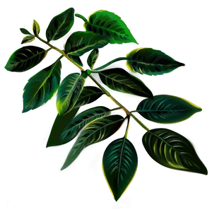 Soft Leaves Png 30 PNG image