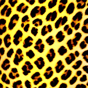 Soft Leopard Print Png 06252024 PNG image