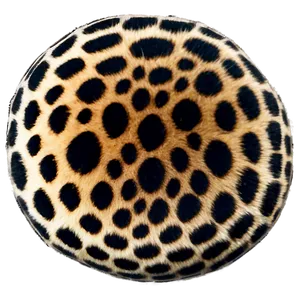 Soft Leopard Spots Png 97 PNG image