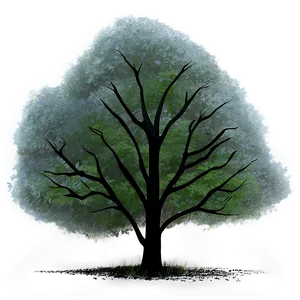 Soft Misty Forest PNG 36 PNG