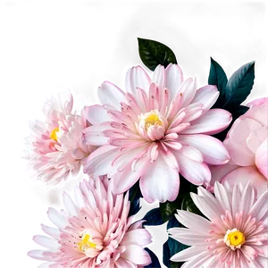 Soft Pink Floral Design PNG Dqk