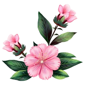 Soft Pink Flowers Png 41 PNG image