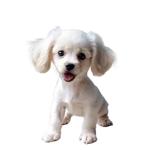 Soft Puppy Fur PNG 93 PNG