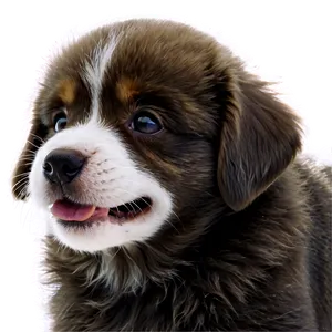 Soft Puppy Fur Png Yey PNG image