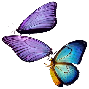 Soft Purple Butterfly Png Lem67 PNG image
